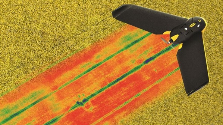 Parrot�t��o�˙C